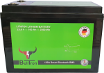 100Ah Bulltron LiFePO4 25,6V Akku mit Smart BMS und Bluetooth App
